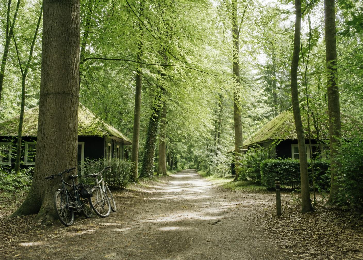 Autovrije bospad met fietsen tussen de recreatiewoningen